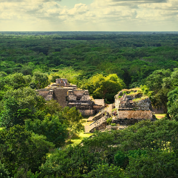 Beauty Oil: Yucatan (Tonka-Woody)