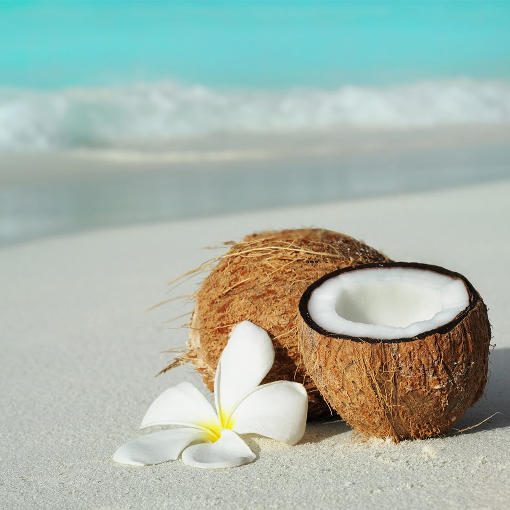 Beauty Oil: Sunflower (Monoi-Coconut)