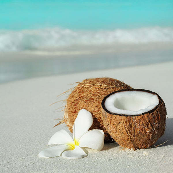 Beauty Oil: Sunflower (Monoi-Coconut)