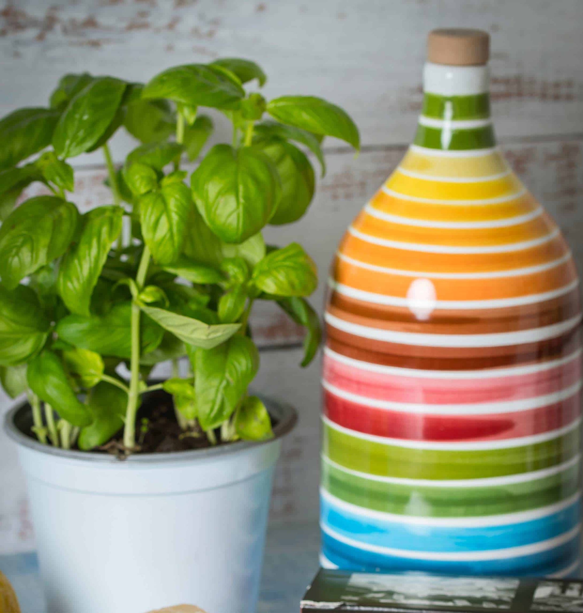 Magnum Ceramic Jug