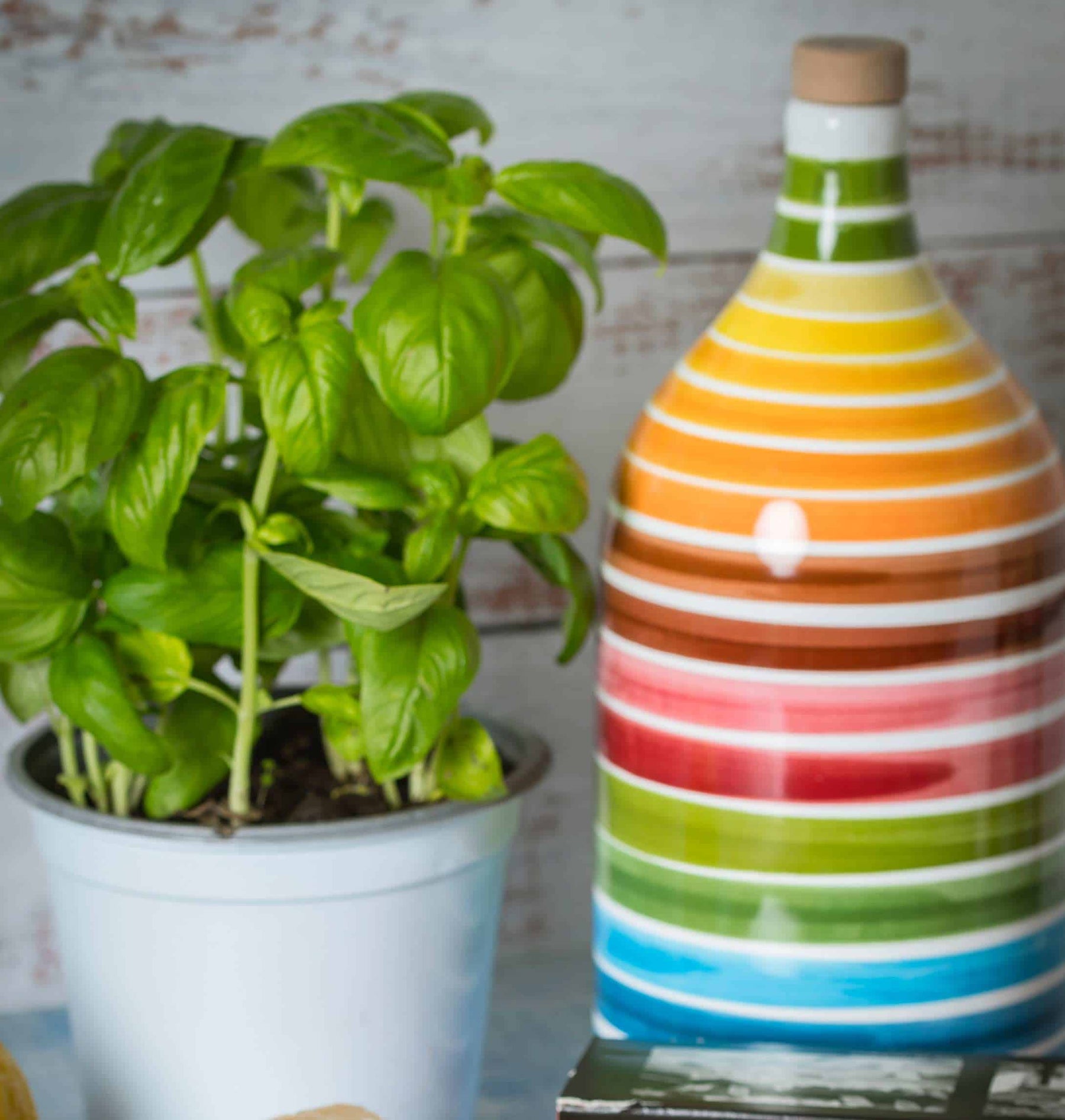 Jeroboam Ceramic Jug