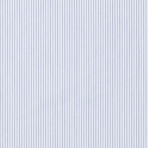 Buckingham Popeline 100% Coton