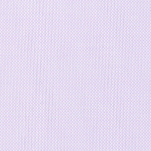 Oxford royal 100 % coton