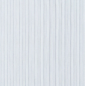 Downing poplin 100% cotton 100% Cotton