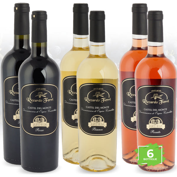 Pack with 6 750ml bottles of D.O.C. wine Castel del Monte MIX
