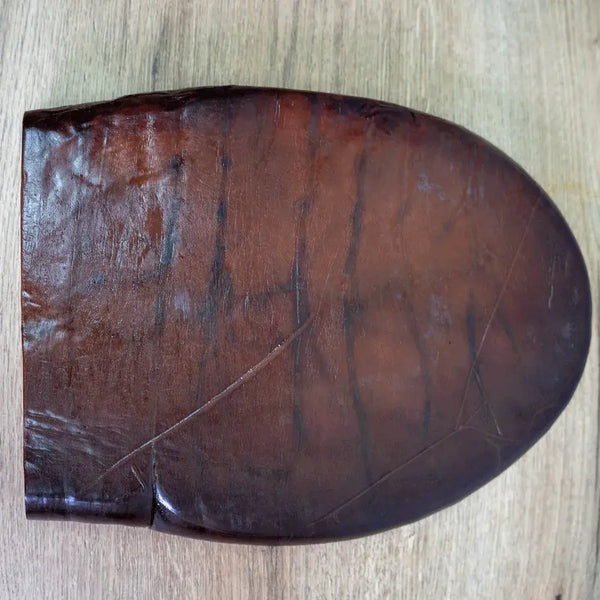 Huevas de Atún Rojo