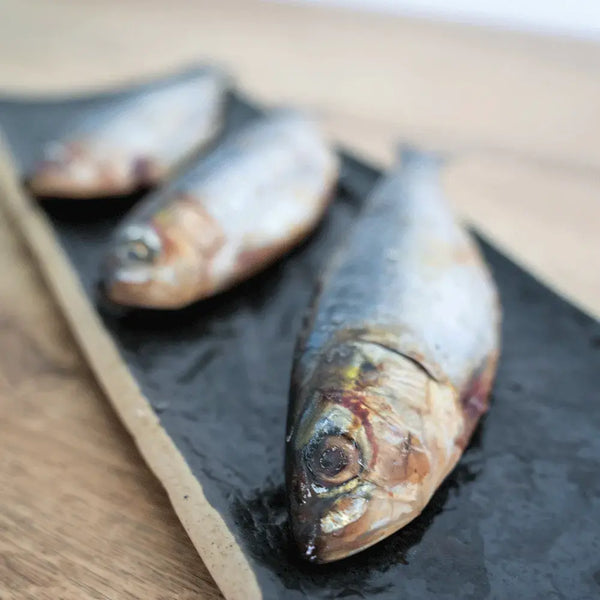 Sardines pack of 3