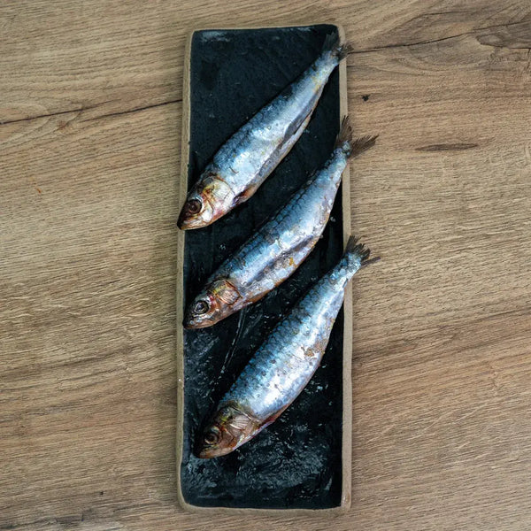 Sardines pack of 3