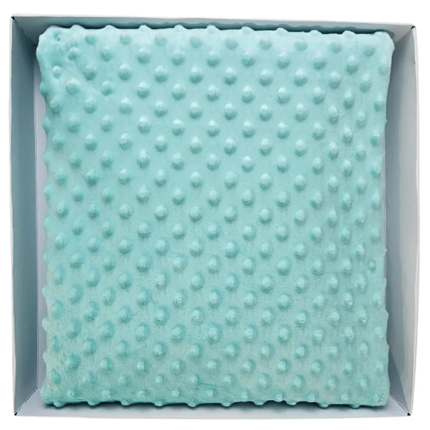 Minky Blanket - Mint