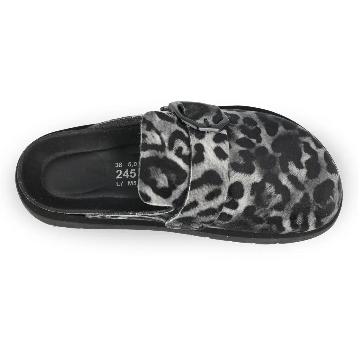 Toby Leopard