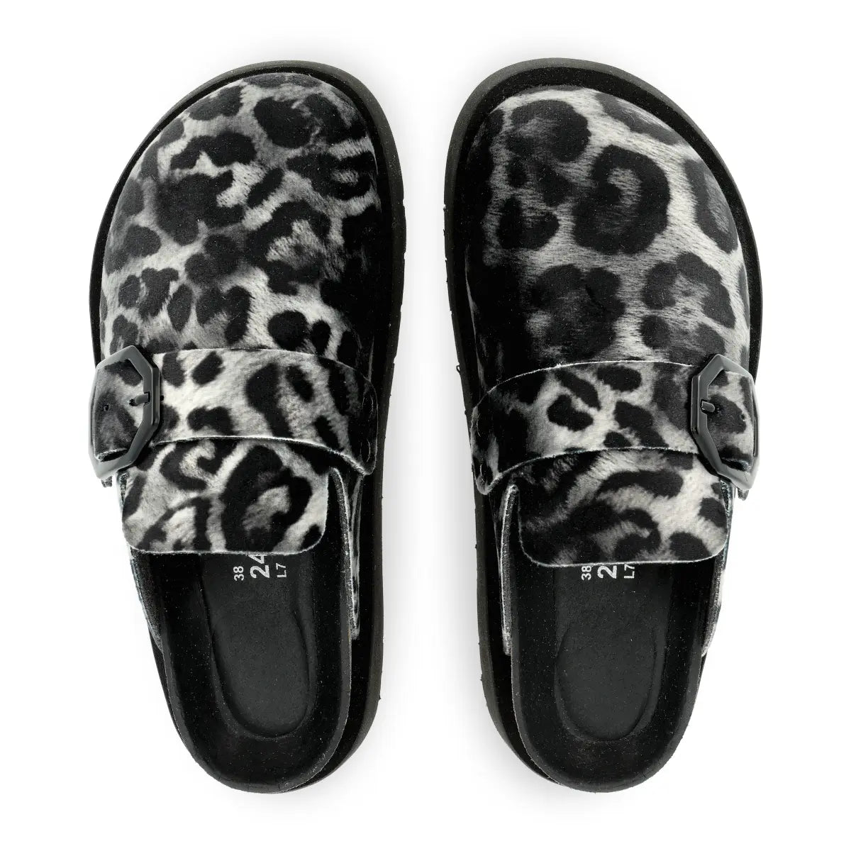 Toby Leopard