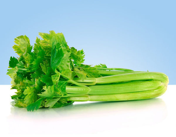 Fresh celery, bunch