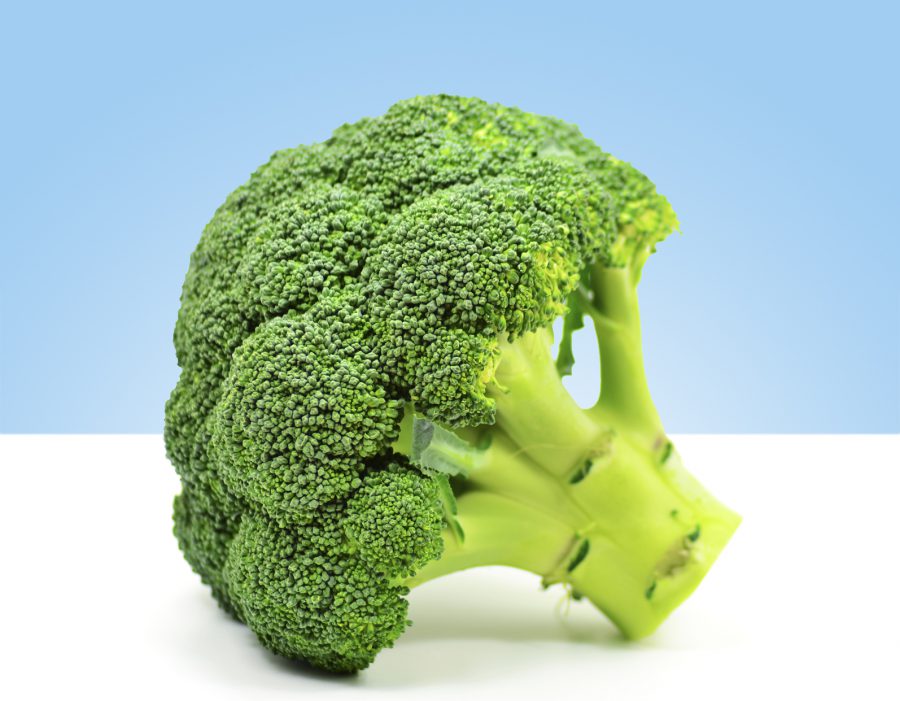 Un manojo de brócoli fresco y verde sobre un fondo blanco