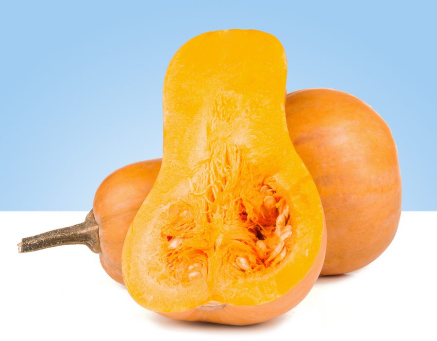 calabaza violin perfecta para diferentes recetas caseras