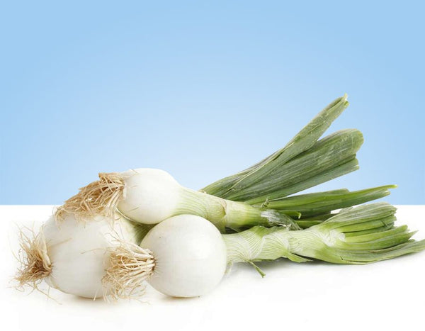 Tender green onion, bunch