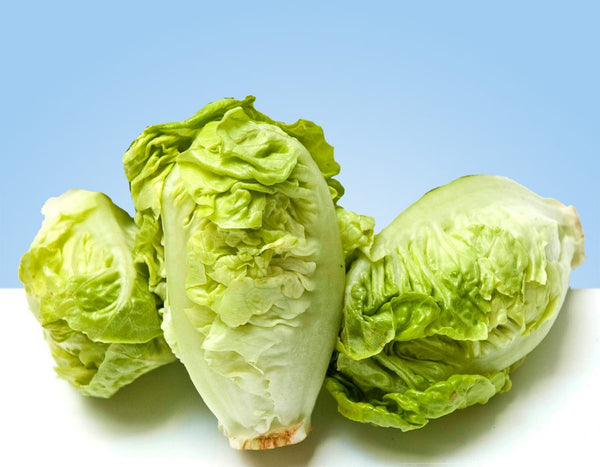 Buds, pack of 3 units