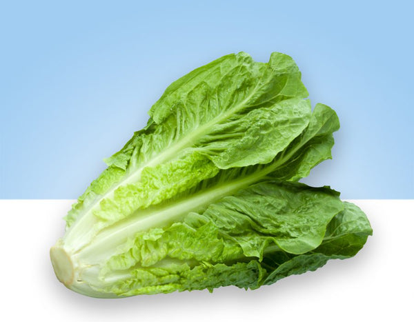 Romaine heart lettuce, bag of 2 pieces