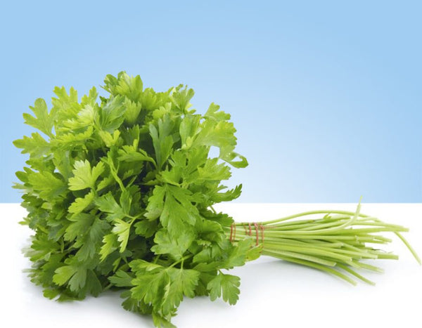 Parsley, bunch