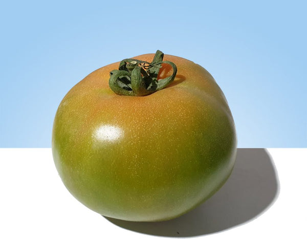 Salad tomato, piece