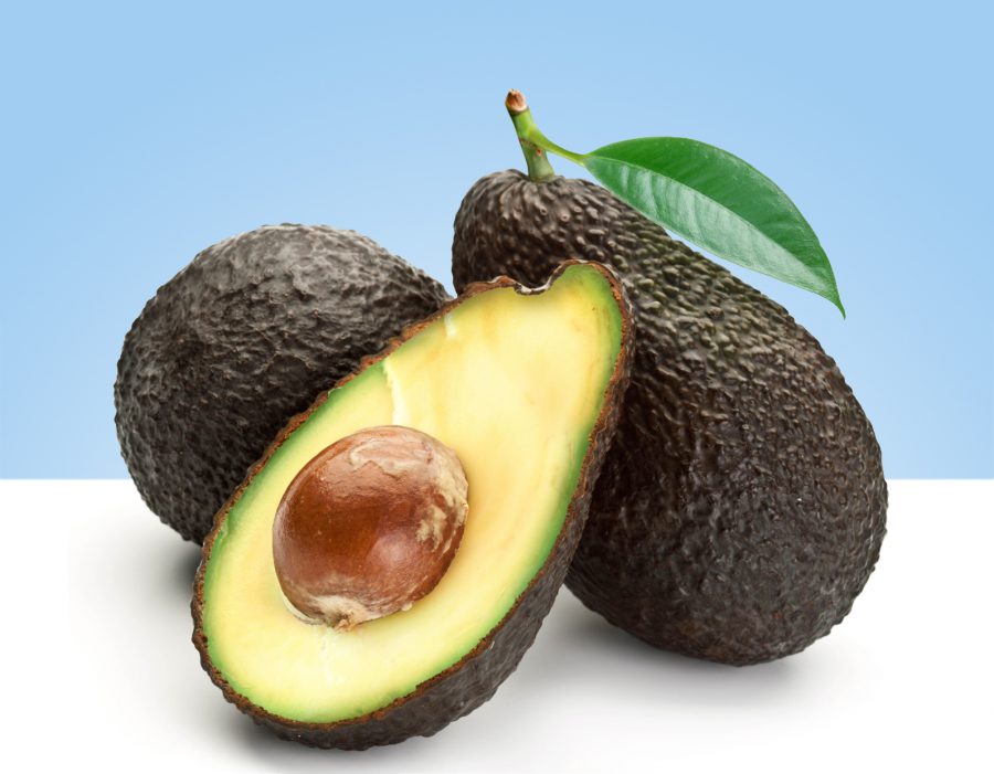 el aguacate es una fruta no es una verdura