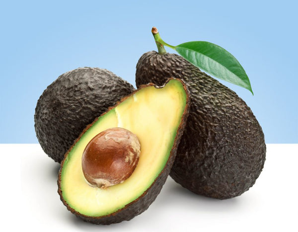el aguacate es una fruta no es una verdura