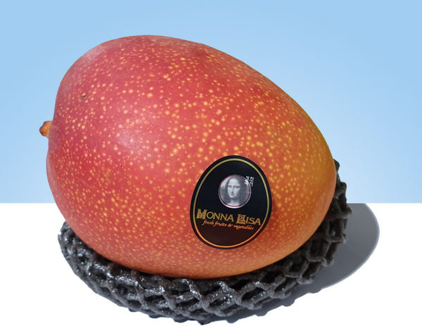 mango avion