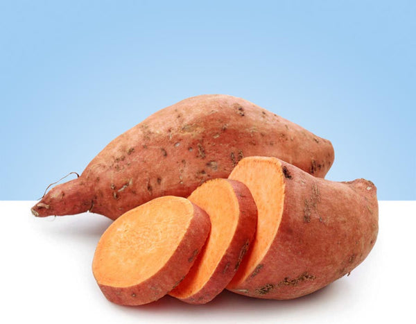 Boniato dulce nacional vivelafruta