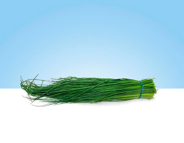 Imagen de un manojo de cebollino fresco y vibrante, con tallos verdes y firmes y pequeñas flores blancas.