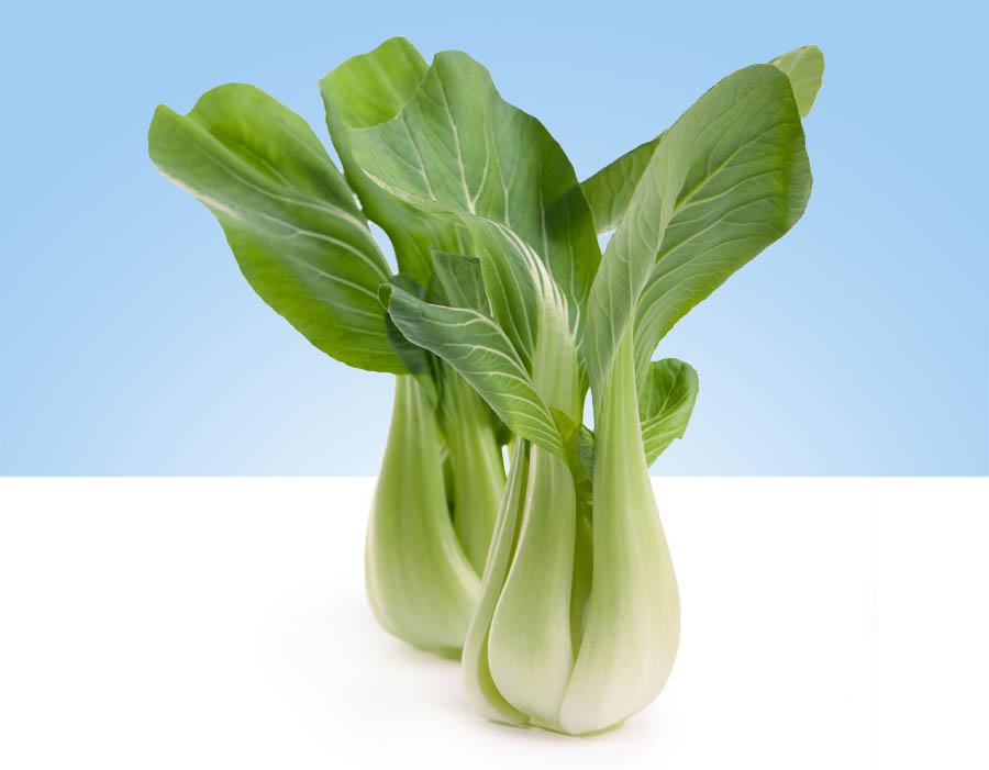 Imagen de una pieza de pak choi fresca y vibrante, con hojas verdes brillantes y tallos blancos gruesos.