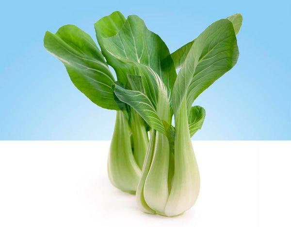 Imagen de una pieza de pak choi fresca y vibrante, con hojas verdes brillantes y tallos blancos gruesos.