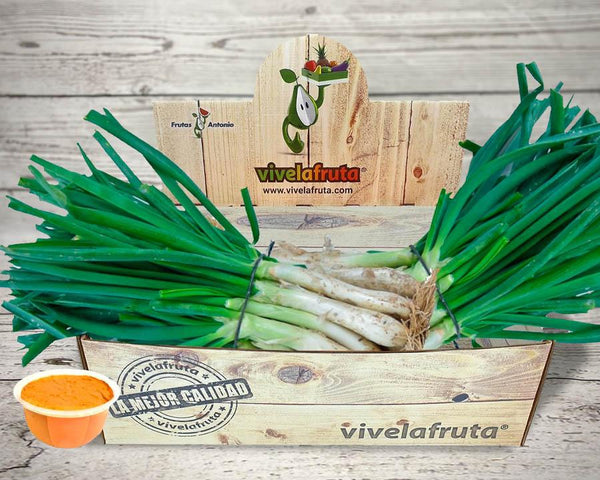 Calçotada Basket, 50 calçots and romesco sauce 300g