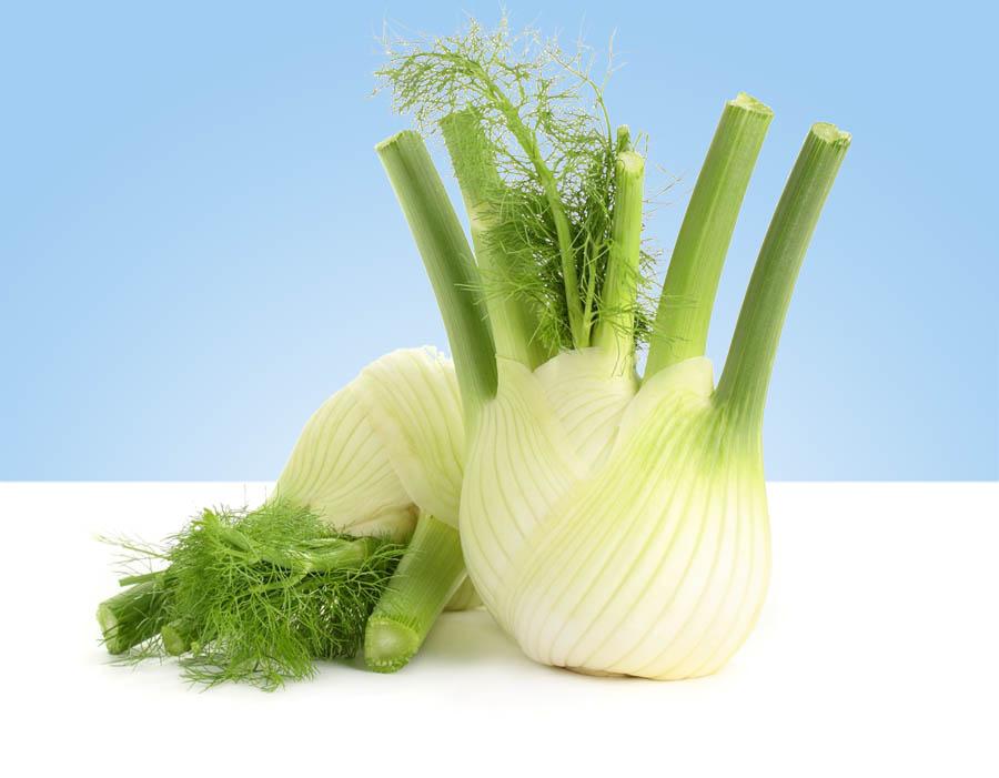 Bulbo de hinojo fresco entero con hojas verdes