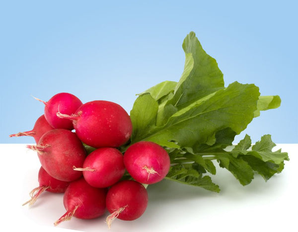 Manojo de rábanos frescos con hoja