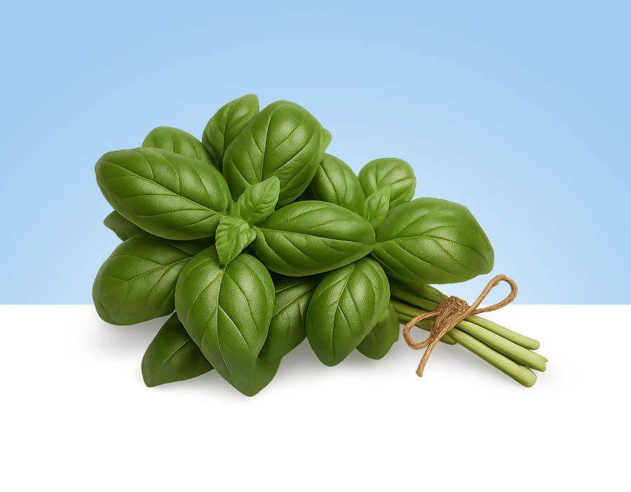 Manojo de albahaca fresca de aproximadamente 100gr