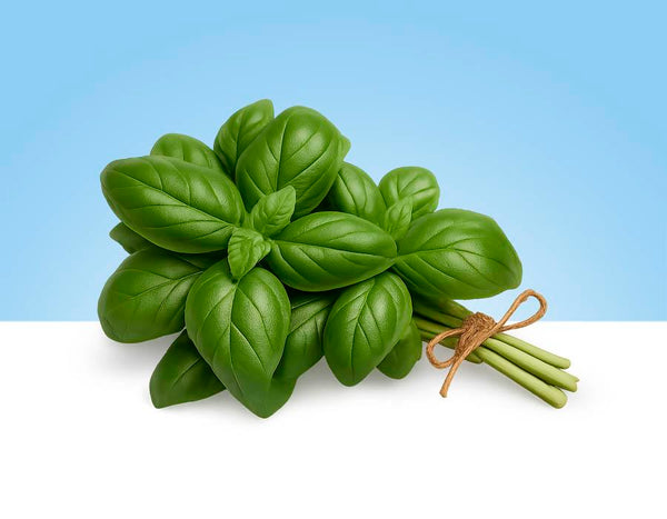 Manojo de albahaca fresca de aproximadamente 100gr