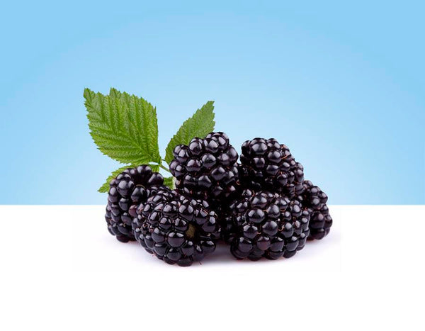 Moras frescas en bandeja de 120gr