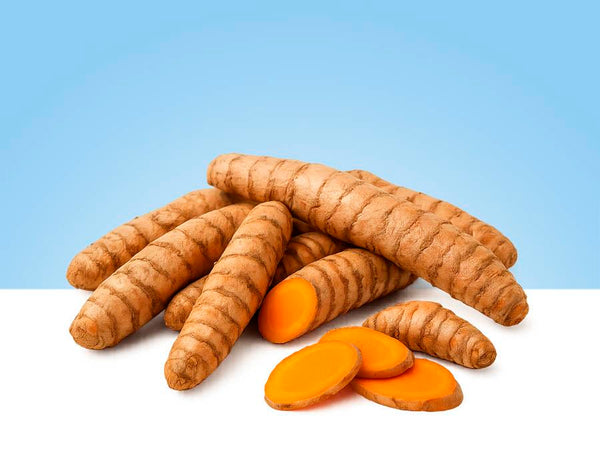 Raíces de cúrcuma fresca partidas, color naranja intenso