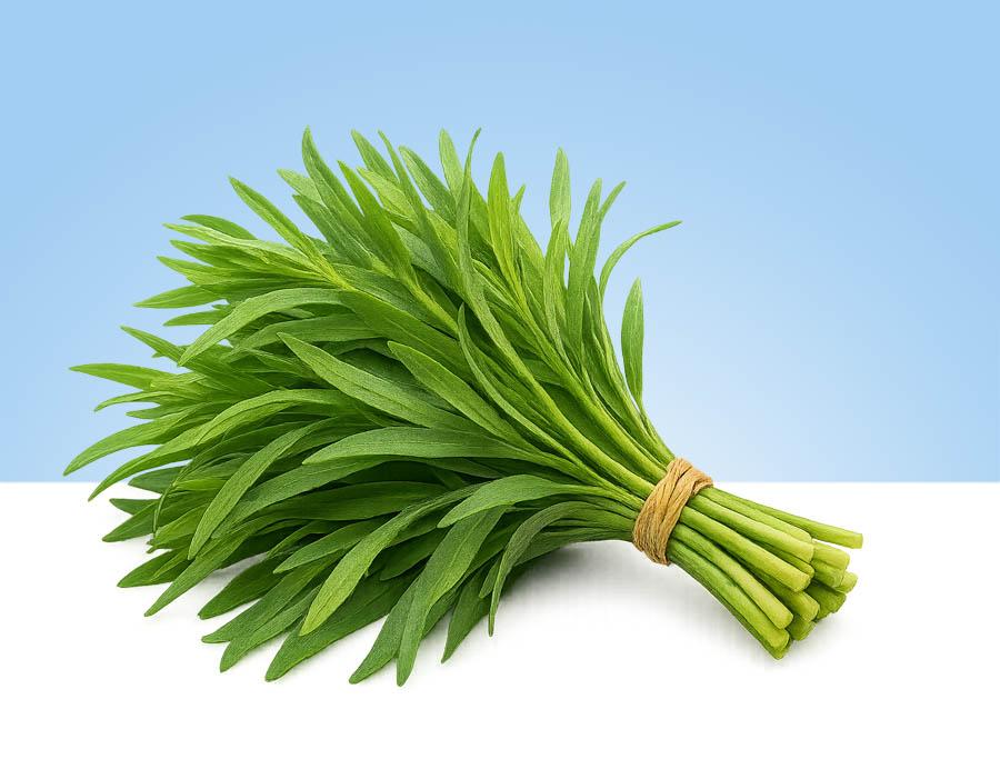 Estragón fresco en bandeja de 40gr