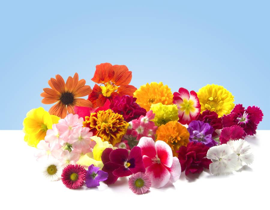 Flores comestibles mixtas en bandeja de 50gr