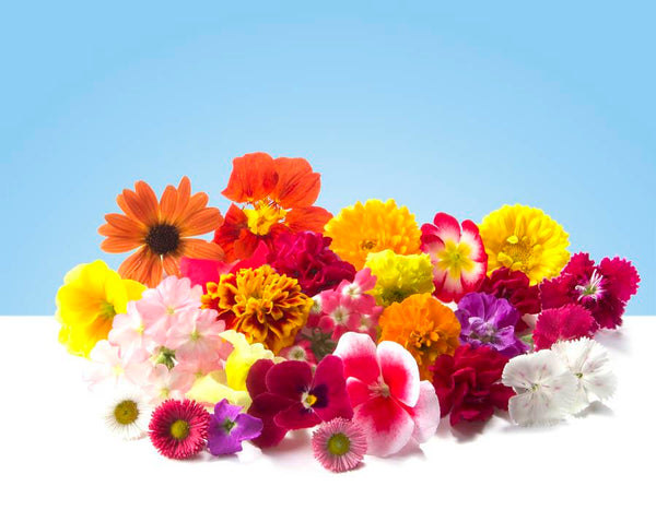 Flores comestibles mixtas en bandeja de 50gr