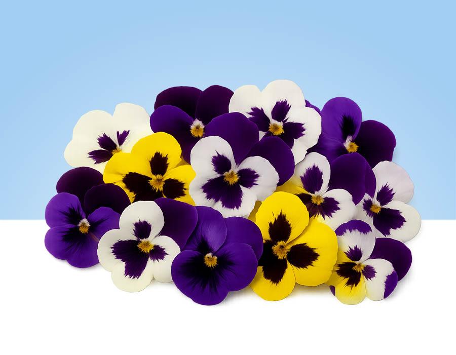 Flores comestibles pensamientos en bandeja de 40gr