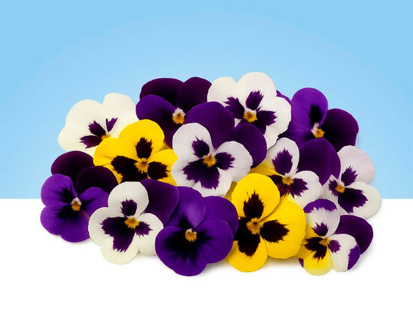 Flores comestibles pensamientos en bandeja de 40gr
