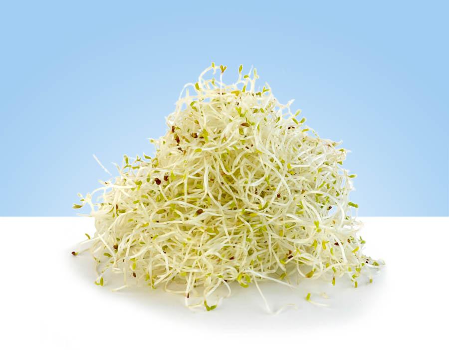 Germinado de alfalfa fresca en bandeja de 150gr marca TUGAS