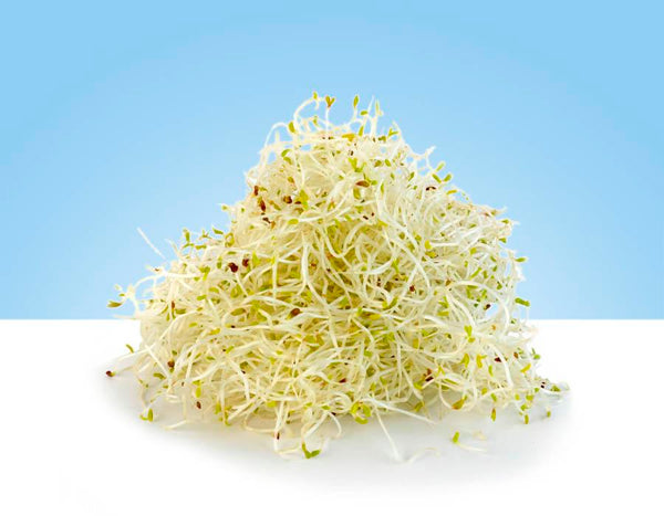 Germinado de alfalfa fresca en bandeja de 150gr marca TUGAS
