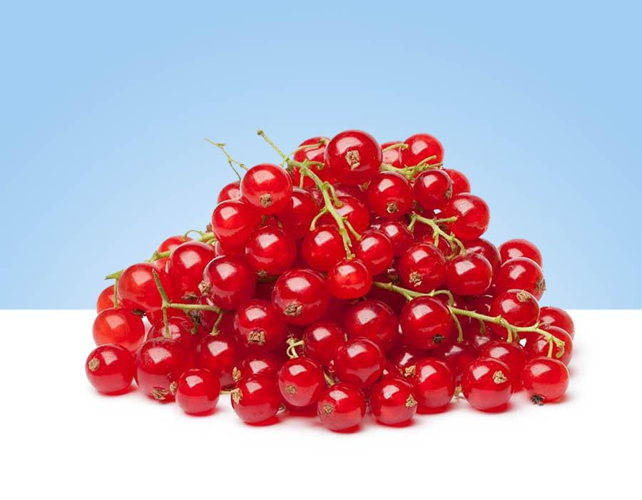 Grosellas rojas frescas en bandeja