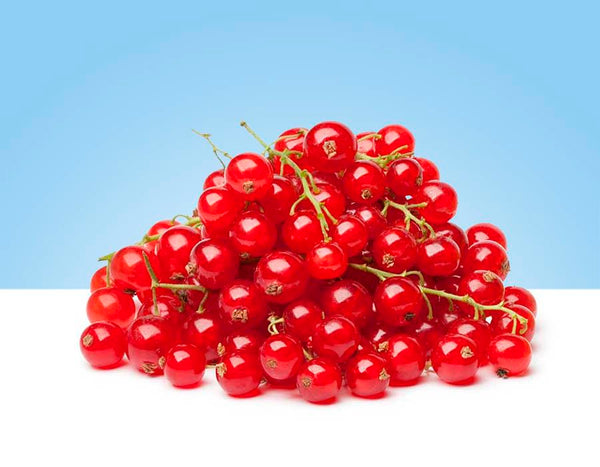 Grosellas rojas frescas en bandeja