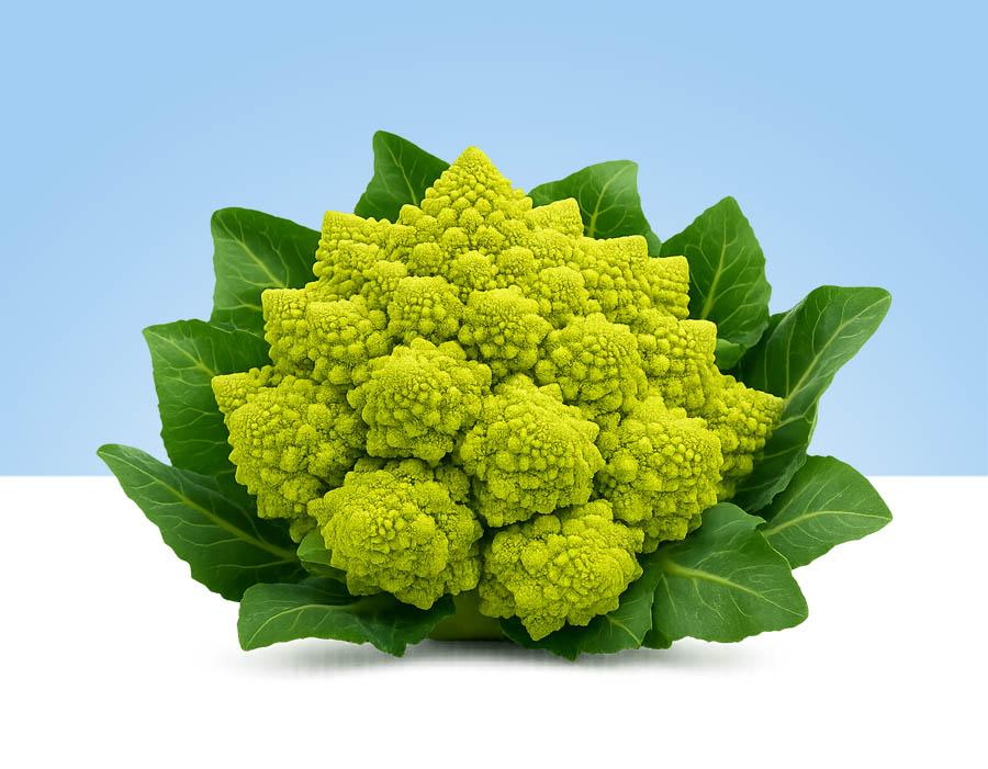 Romanescu fresco – pieza entera
