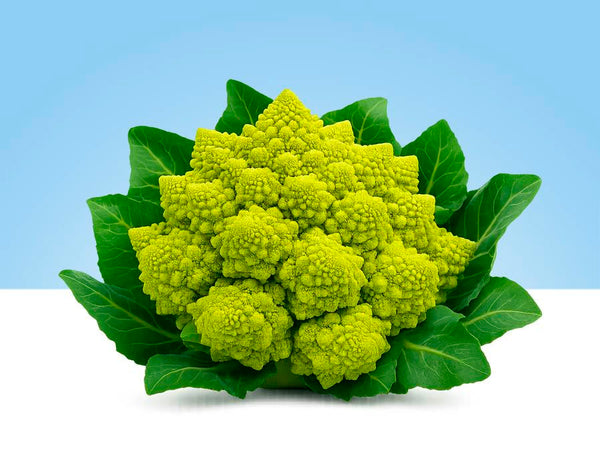 Romanescu fresco – pieza entera