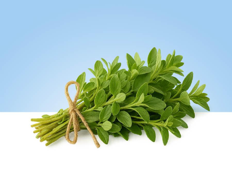 Mejorana fresca en bandeja de 40 gramos