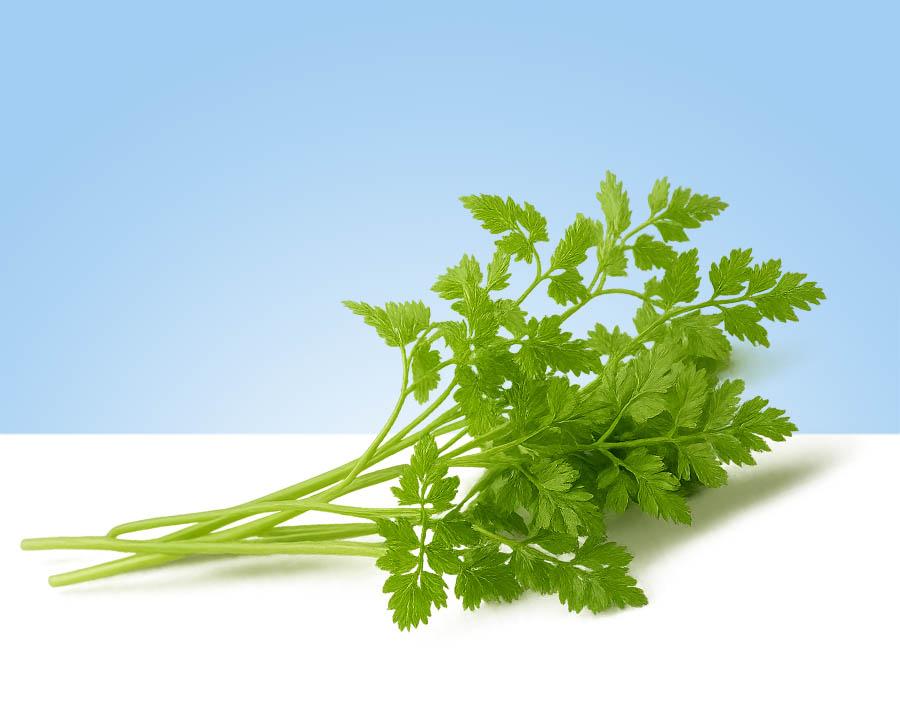 Perifollo fresco en bandeja de 40 gramos